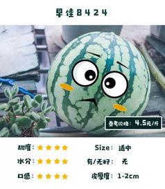 评价吃瓜盟主,揭秘娱乐圈幕后风云