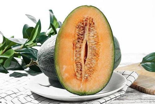 动漫吃哈密瓜,动漫中的甜蜜诱惑